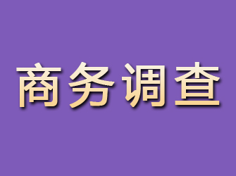 市南商务调查